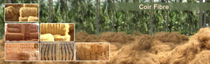 Coir_Fiber